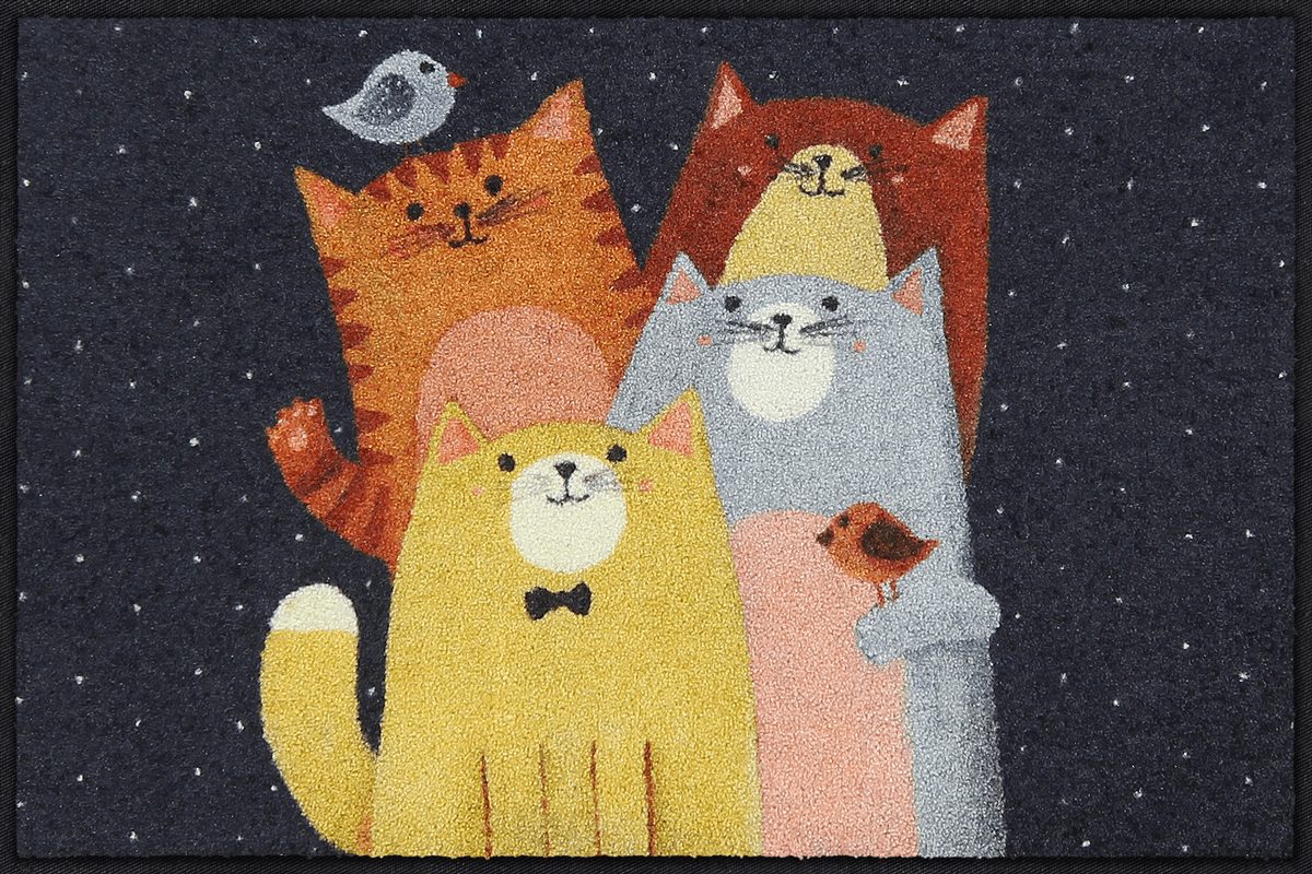 Fußmatte 50x75  Cat-Quartet bunt