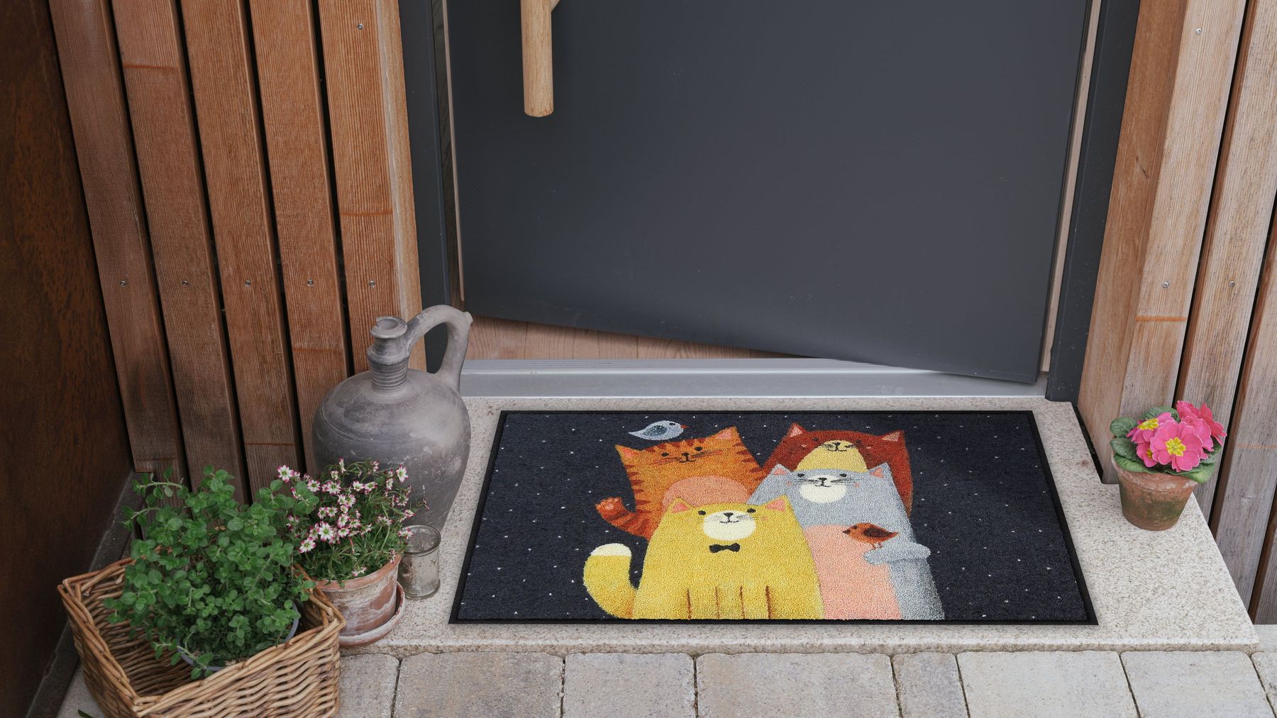 Fußmatte 50x75  Cat-Quartet bunt